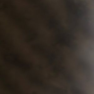 Meet your Posher, Roel